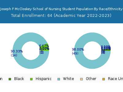 Joseph F McCloskey School of Nursing 2023 Student Population by Gender and Race chart
