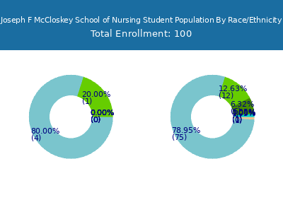 Joseph F McCloskey School of Nursing 2025 Student Population by Gender and Race chart