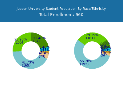 Judson University 2025 Student Population by Gender and Race chart
