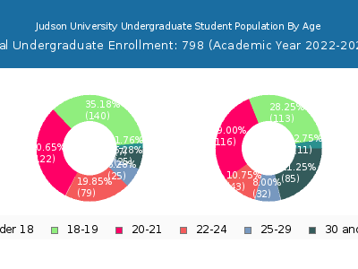 Judson University 2023 Undergraduate Enrollment Age Diversity Pie chart
