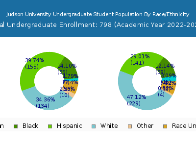 Judson University 2023 Undergraduate Enrollment by Gender and Race chart