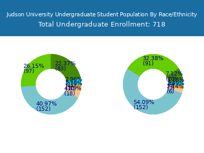 Judson University 2025 Undergraduate Enrollment by Gender and Race chart
