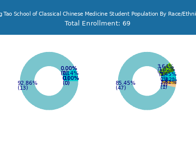 Jung Tao School of Classical Chinese Medicine 2025 Student Population by Gender and Race chart