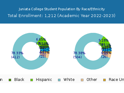 Juniata College 2023 Student Population by Gender and Race chart