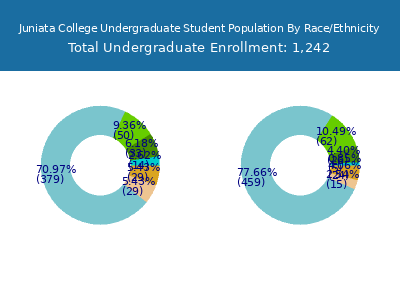 Juniata College 2025 Undergraduate Enrollment by Gender and Race chart