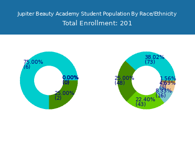 Jupiter Beauty Academy 2025 Student Population by Gender and Race chart