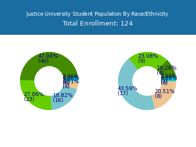 Justice University 2025 Student Population by Gender and Race chart