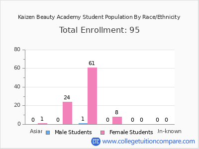 Kaizen Beauty Academy 2025 Student Population by Gender and Race chart
