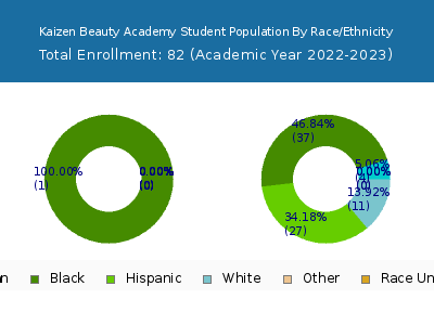 Kaizen Beauty Academy 2023 Student Population by Gender and Race chart