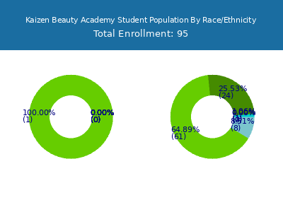 Kaizen Beauty Academy 2025 Student Population by Gender and Race chart