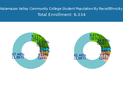 Kalamazoo Valley Community College 2025 Student Population by Gender and Race chart