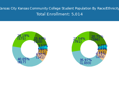 Kansas City Kansas Community College 2025 Student Population by Gender and Race chart