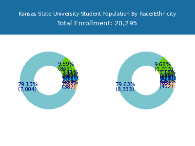 Kansas State University 2025 Student Population by Gender and Race chart