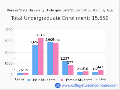Kansas State University 2025 Undergraduate Enrollment by Age chart