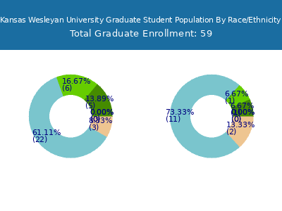 Kansas Wesleyan University 2025 Graduate Enrollment by Gender and Race chart