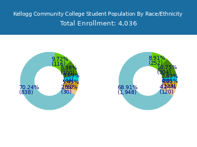 Kellogg Community College 2025 Student Population by Gender and Race chart