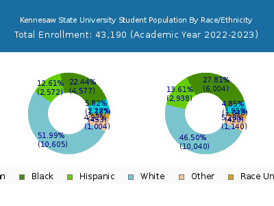 Kennesaw State University 2023 Student Population by Gender and Race chart