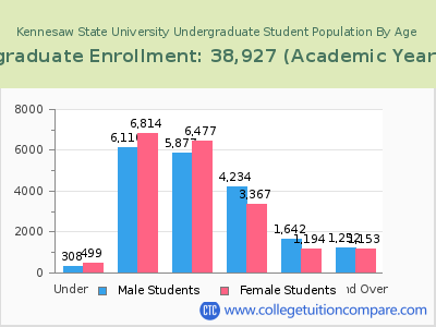 Kennesaw State University 2023 Undergraduate Enrollment by Age chart