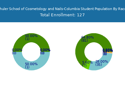 Kenneth Shuler School of Cosmetology and Nails-Columbia 2025 Student Population by Gender and Race chart