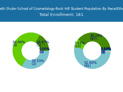 Kenneth Shuler School of Cosmetology-Rock Hill 2025 Student Population by Gender and Race chart