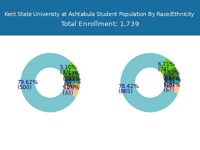 Kent State University at Ashtabula 2025 Student Population by Gender and Race chart
