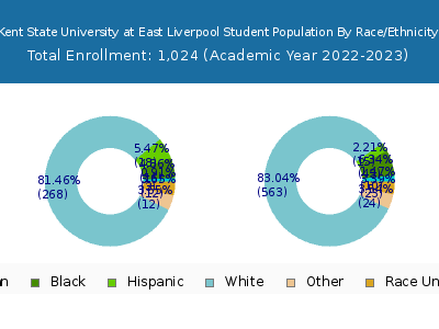 Kent State University at East Liverpool 2023 Student Population by Gender and Race chart