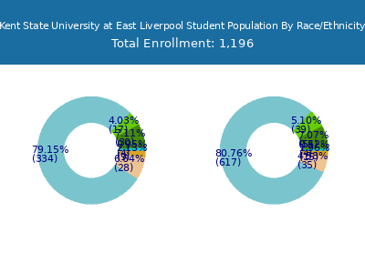 Kent State University at East Liverpool 2025 Student Population by Gender and Race chart