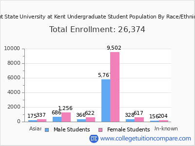 Kent State University at Kent 2025 Undergraduate Enrollment by Gender and Race chart