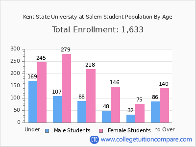 Kent State University at Salem 2025 Student Population by Age chart