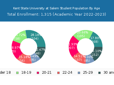 Kent State University at Salem 2023 Student Population Age Diversity Pie chart