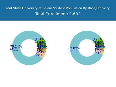 Kent State University at Salem 2025 Student Population by Gender and Race chart