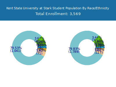 Kent State University at Stark 2025 Student Population by Gender and Race chart