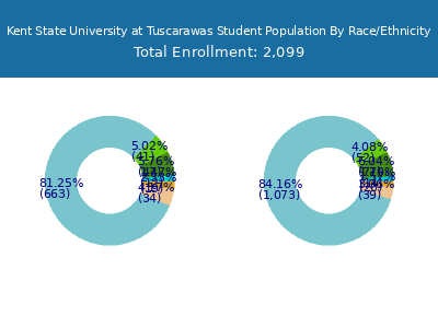 Kent State University at Tuscarawas 2025 Student Population by Gender and Race chart