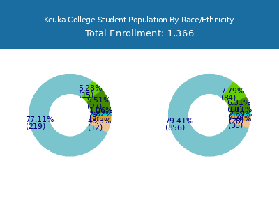 Keuka College 2025 Student Population by Gender and Race chart