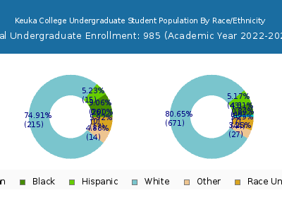 Keuka College 2023 Undergraduate Enrollment by Gender and Race chart