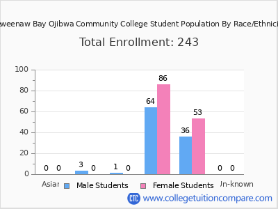 Keweenaw Bay Ojibwa Community College 2025 Student Population by Gender and Race chart