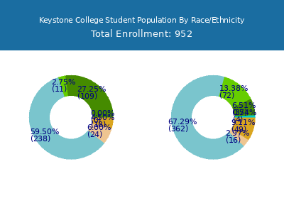 Keystone College 2025 Student Population by Gender and Race chart