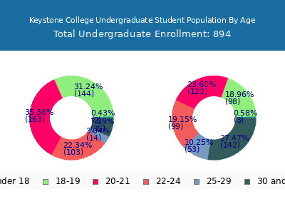 Keystone College 2024 Undergraduate Enrollment Age Diversity Pie chart