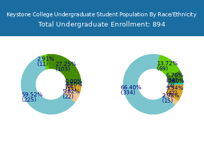Keystone College 2025 Undergraduate Enrollment by Gender and Race chart