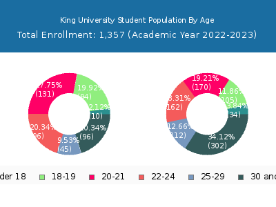 King University 2023 Student Population Age Diversity Pie chart