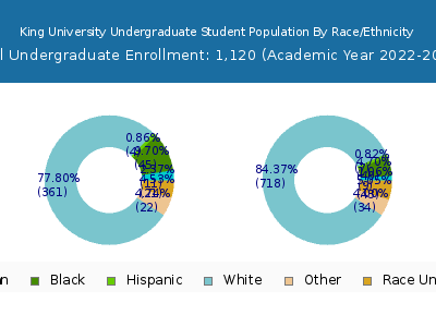 King University 2023 Undergraduate Enrollment by Gender and Race chart