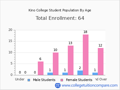 Kino College 2025 Student Population by Age chart