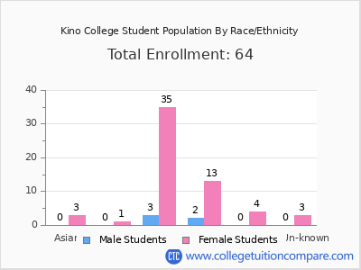Kino College 2025 Student Population by Gender and Race chart