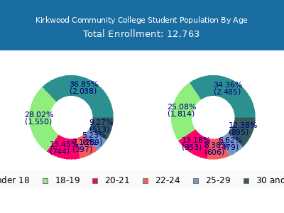 Kirkwood Community College 2025 Student Population Age Diversity Pie chart