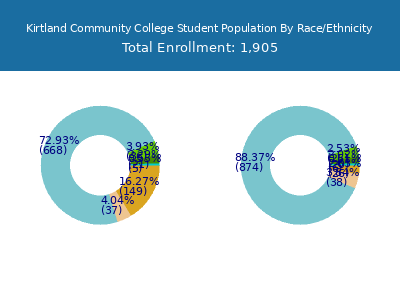 Kirtland Community College 2025 Student Population by Gender and Race chart