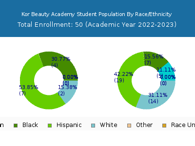 Kor Beauty Academy 2023 Student Population by Gender and Race chart