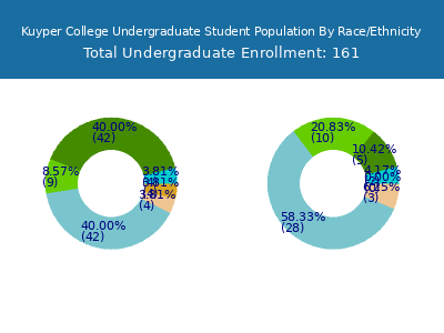 Kuyper College 2025 Undergraduate Enrollment by Gender and Race chart
