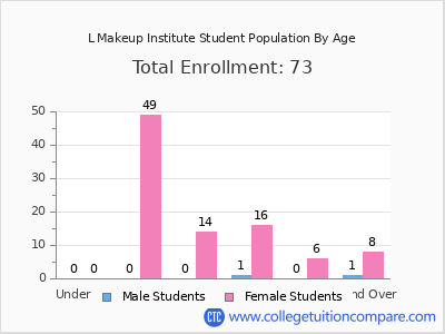L Makeup Institute 2024 Student Population by Age chart