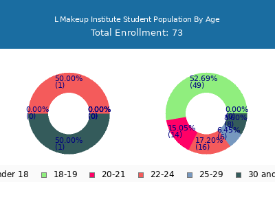 L Makeup Institute 2024 Student Population Age Diversity Pie chart