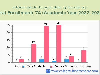 L Makeup Institute 2023 Student Population by Gender and Race chart